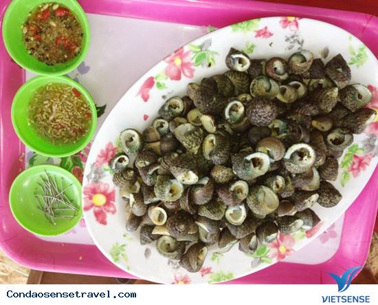 Ốc ngọt - Côn Đảo Ốc ngọt - Côn Đảo