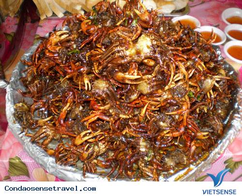 Cua Vang - Côn Đảo Cua Vang - Côn Đảo