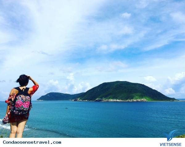 Từ tháng 8 đến tháng 10 Từ tháng 8 đến tháng 10