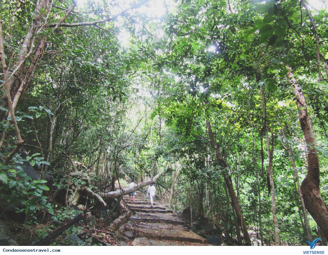 Vườn quốc gia Côn Đảo