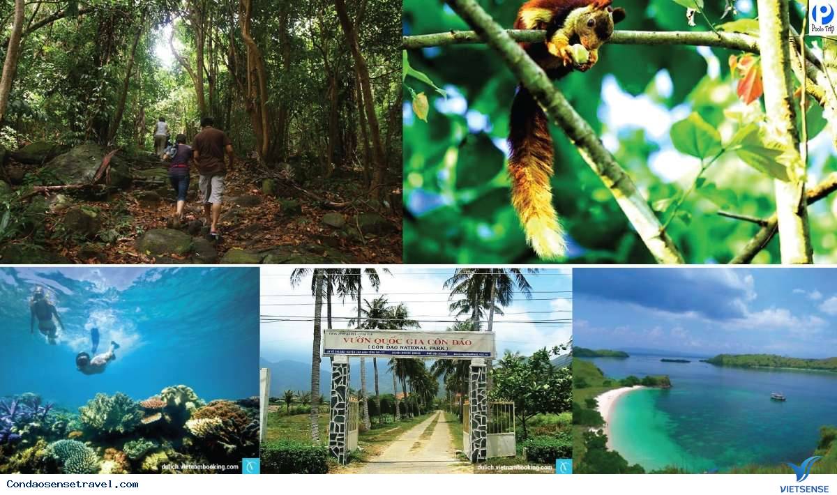Vườn Quốc Gia Côn Đảo Vườn Quốc Gia Côn Đảo